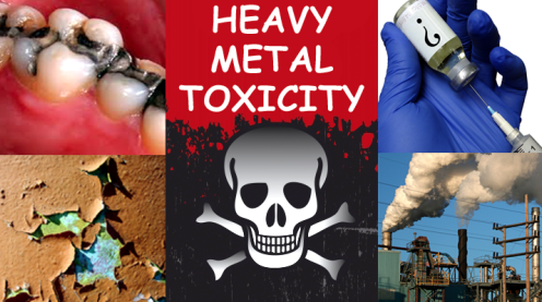 The Heavy Metal Toxicity Crisis, And How To Heal From It