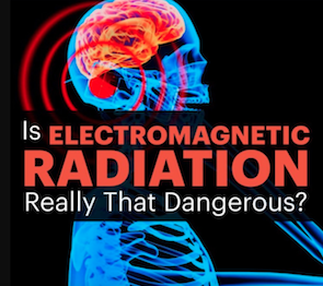 EMF Radiation Toxicity And The 5G + Smart Meter Equation